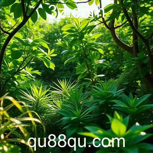 Inovações e Tendências no Mundo dos Jogos em 2025